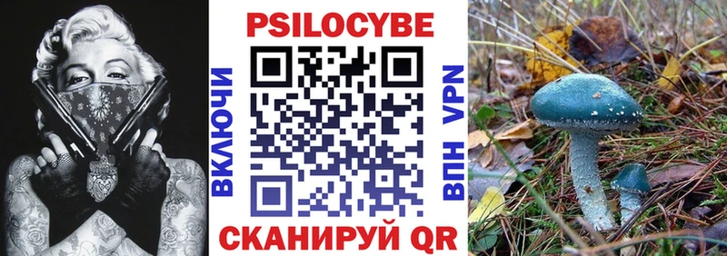 Псилоцибиновые грибы GOLDEN TEACHER Байкальск